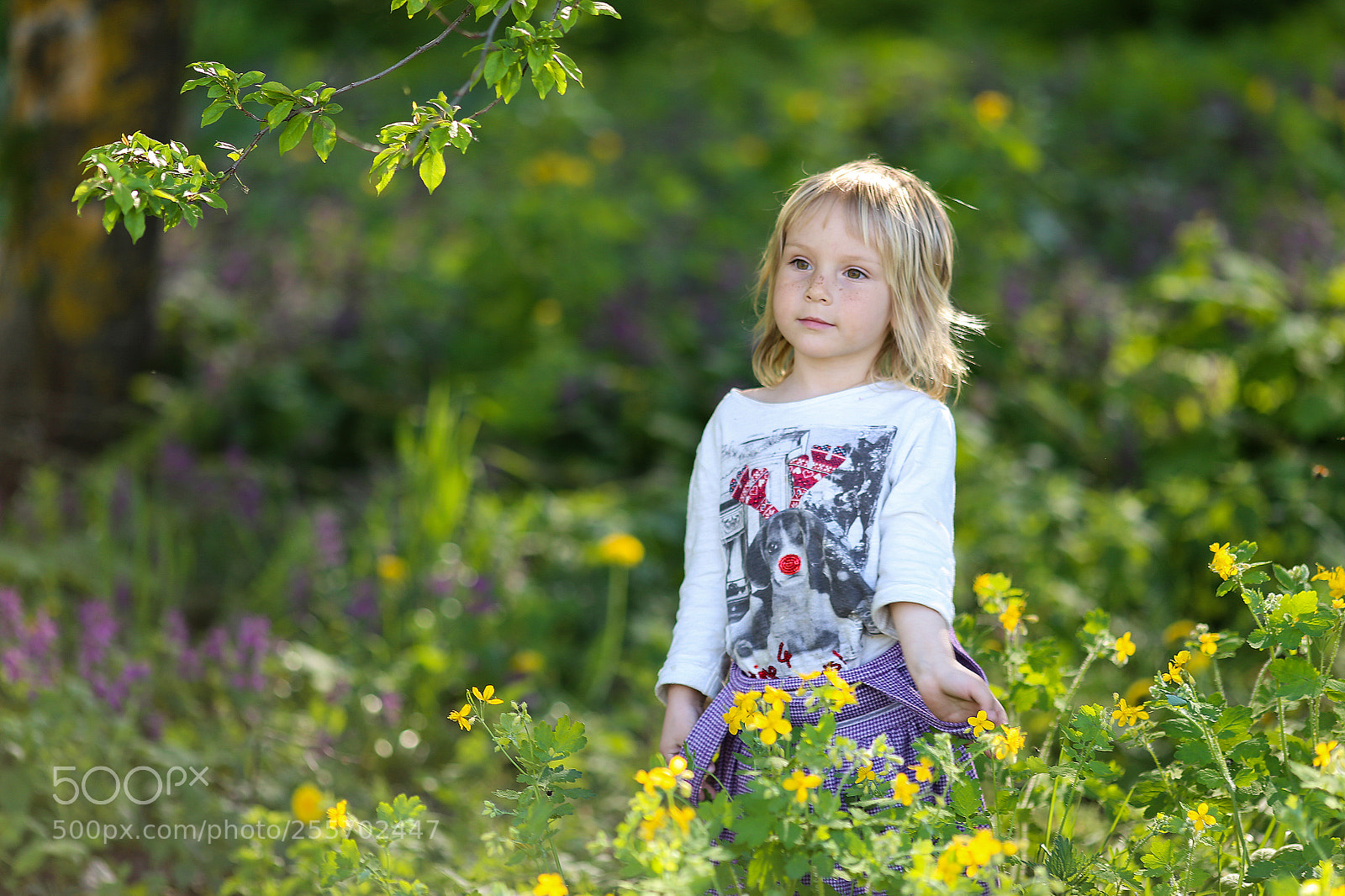 Canon EOS 6D sample photo. Baby photography