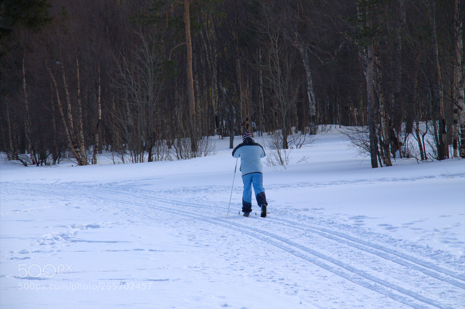 Canon EOS 1100D (EOS Rebel T3 / EOS Kiss X50) sample photo. Одинокий лыжник / lonely skier photography