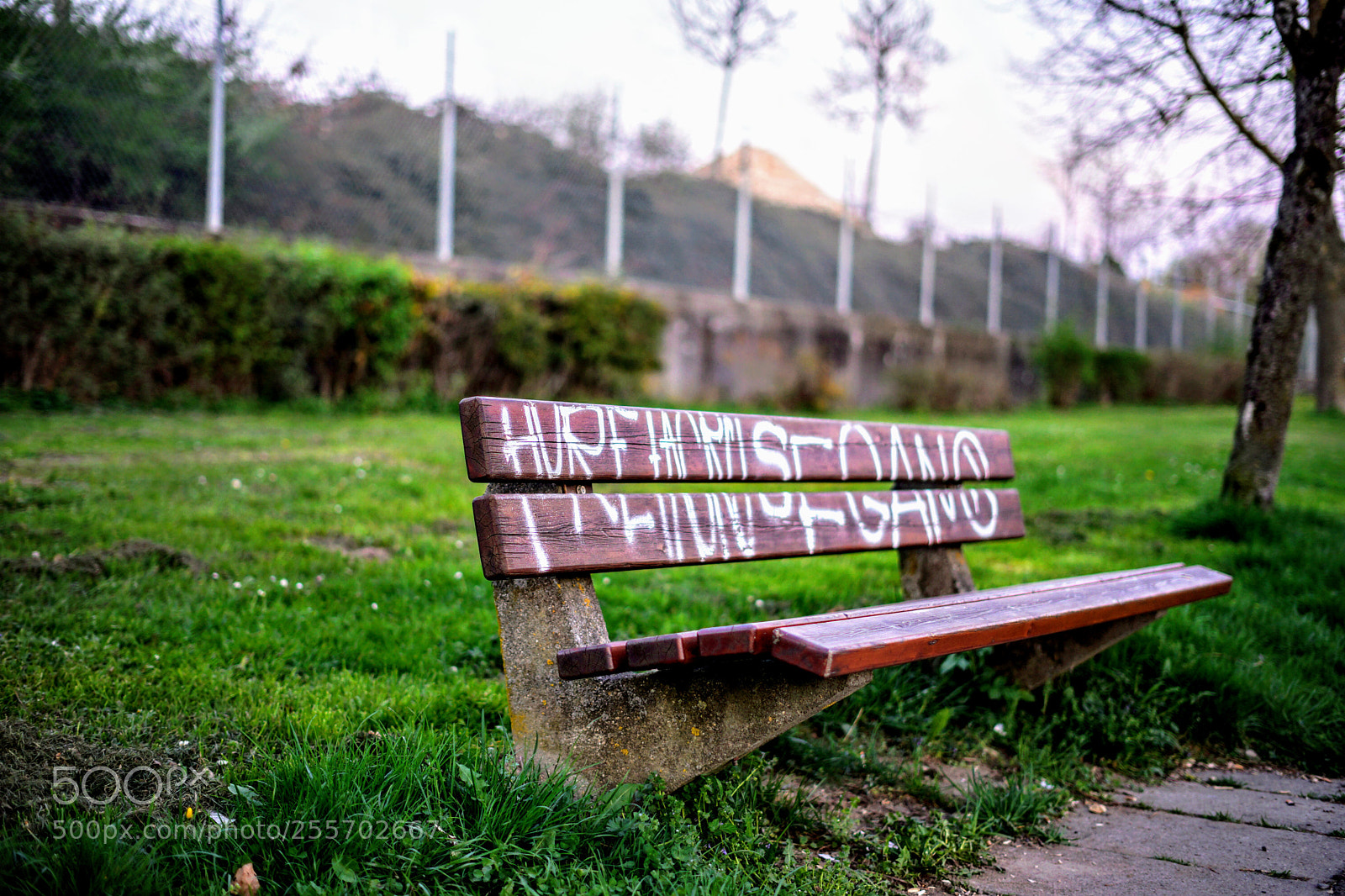 Sony a7 sample photo. The bench ii photography