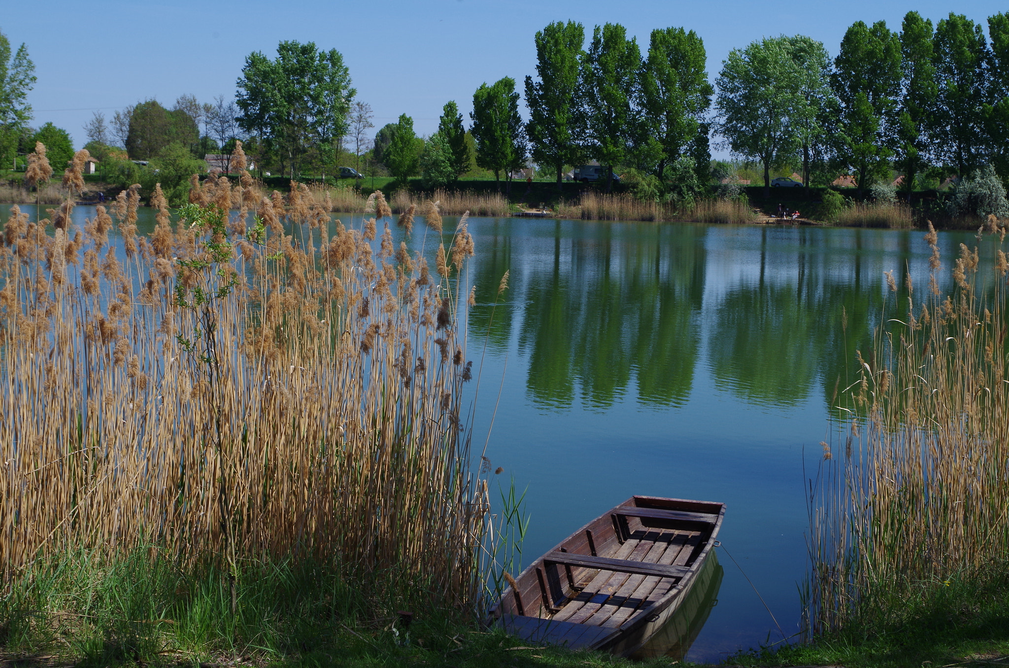 Pentax K-50 sample photo. Mine lake in spring photography