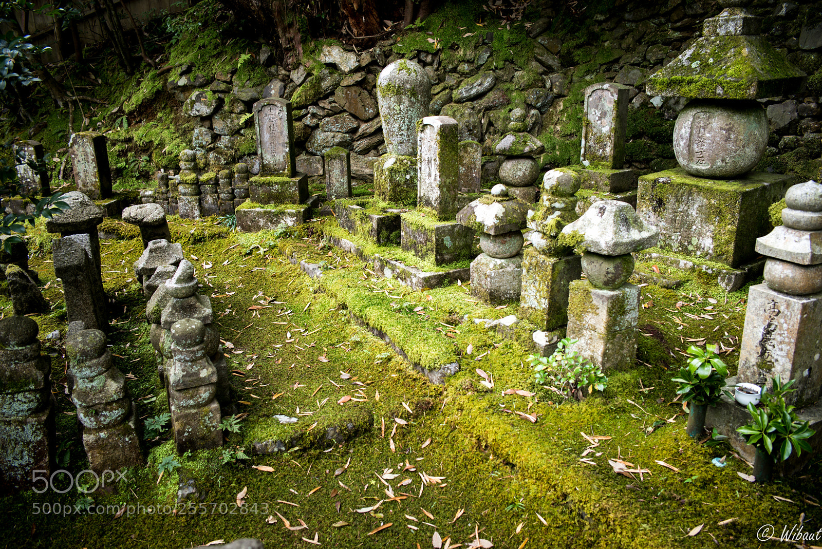 Leica M (Typ 240) sample photo. Graveyard photography
