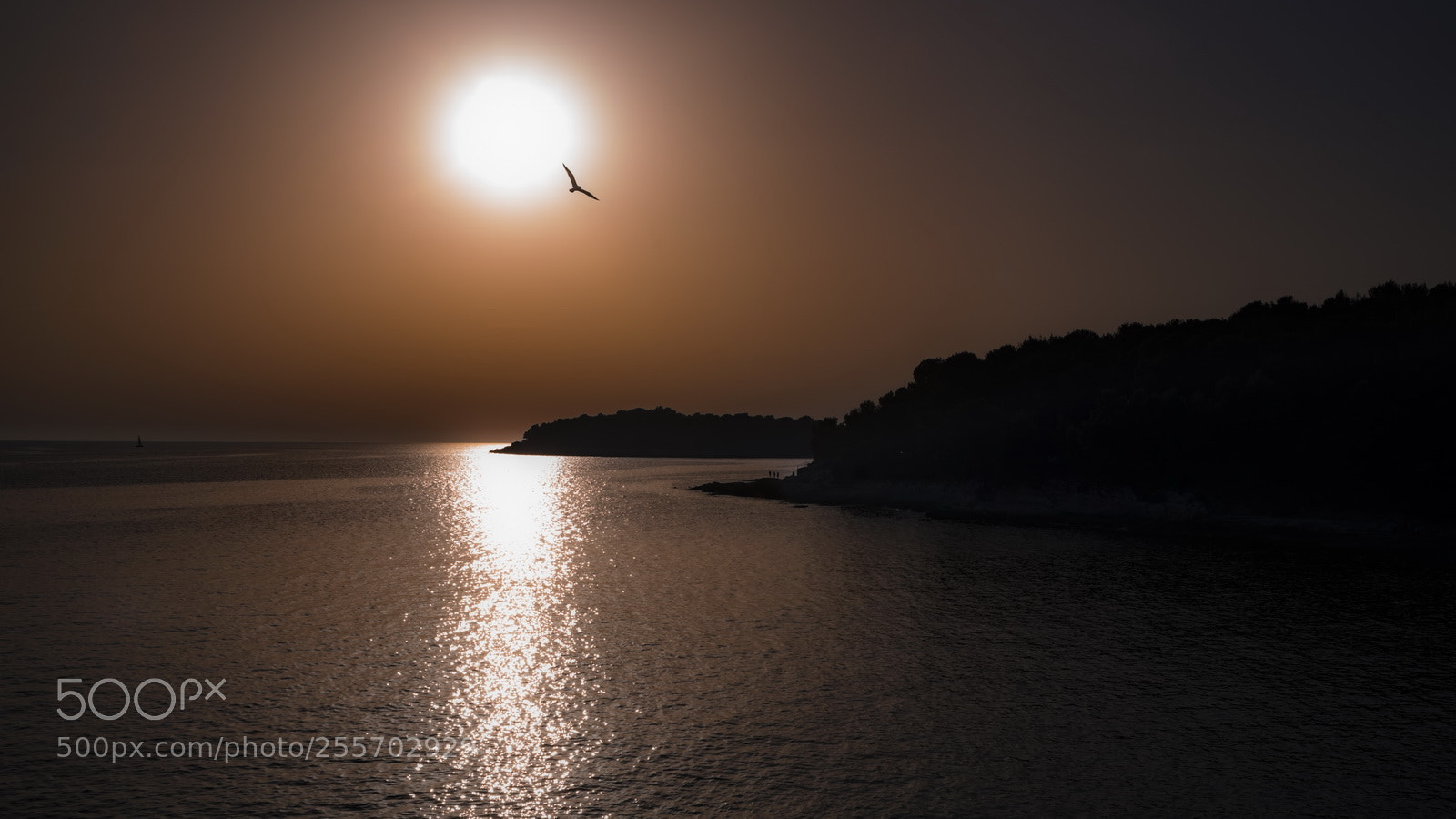 Nikon D800E sample photo. Pula photography