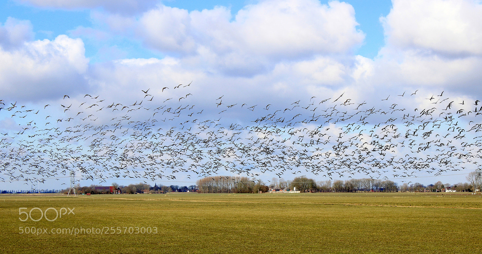 Canon EOS 600D (Rebel EOS T3i / EOS Kiss X5) sample photo. Wide polder landscape in photography