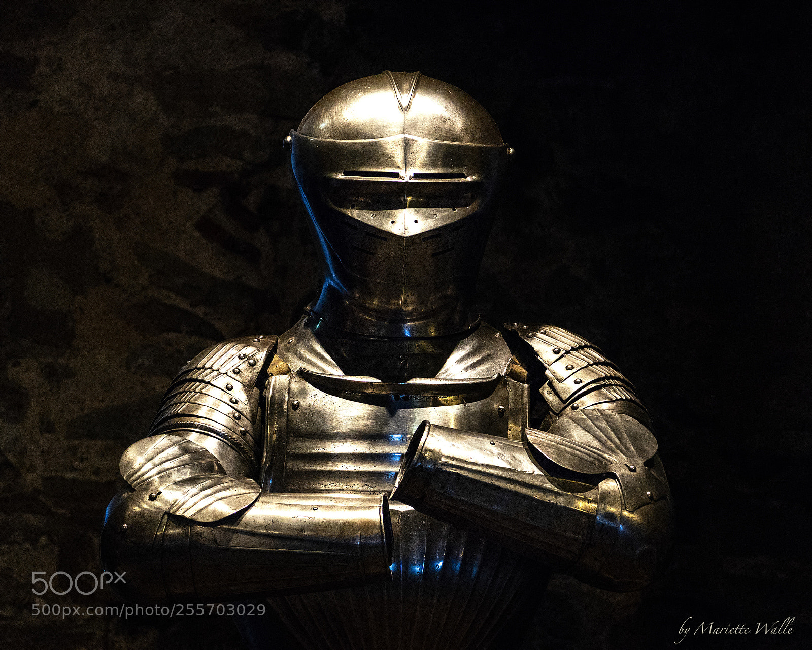 Canon EOS M5 sample photo. The armor in the photography