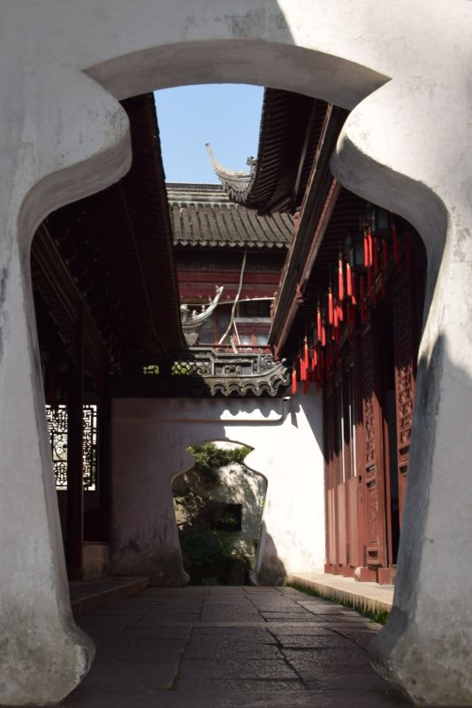 Nikon D3300 sample photo