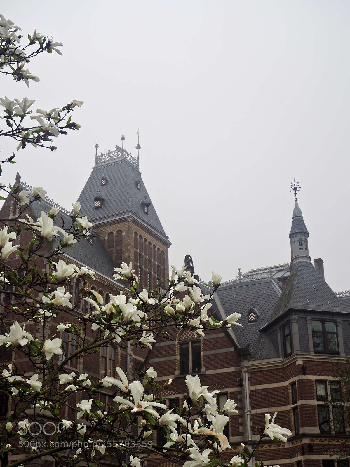 Olympus OM-D E-M10 II sample photo. Amsterdam, 2018 photography