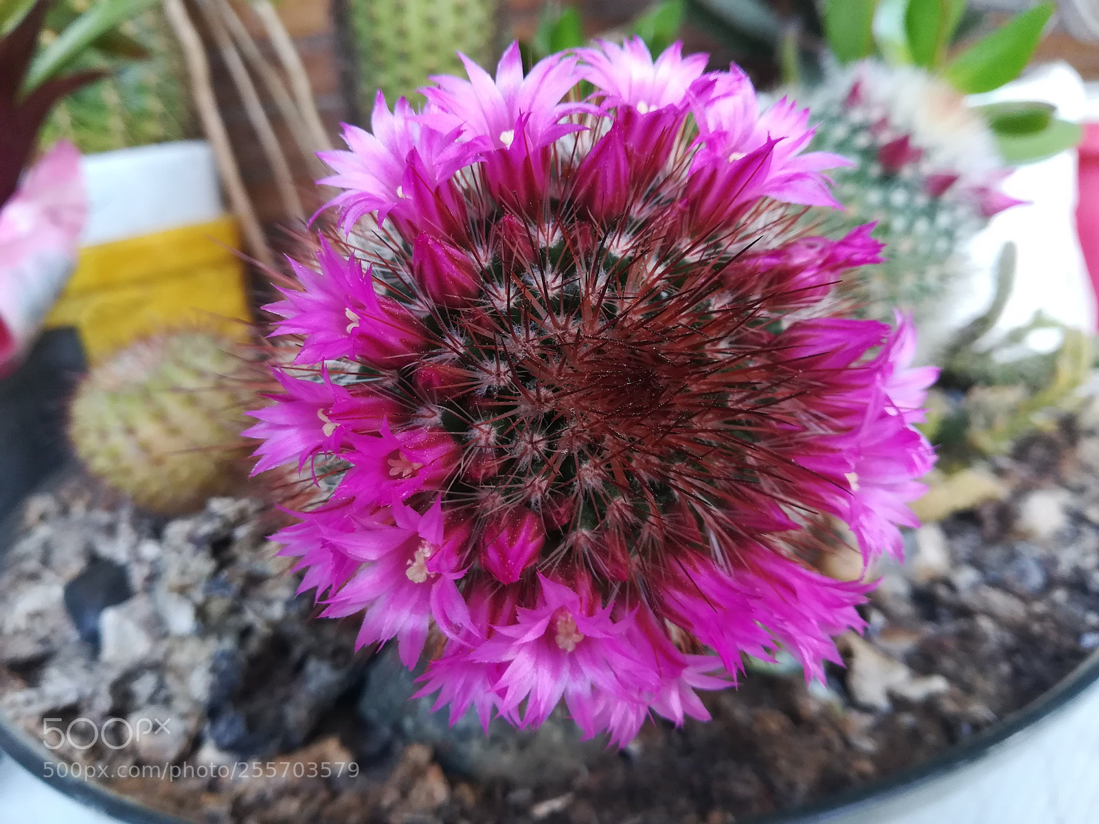 HUAWEI PRA-LX1 sample photo. Spring or summer? photography