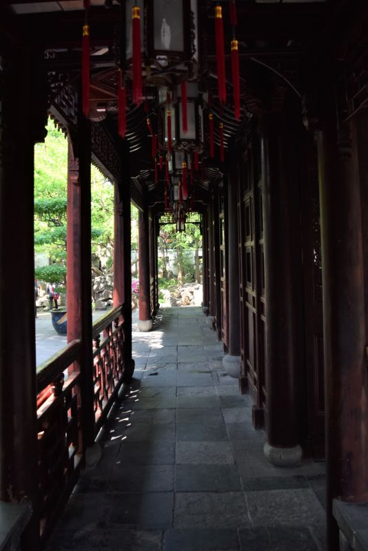 Nikon D3300 sample photo