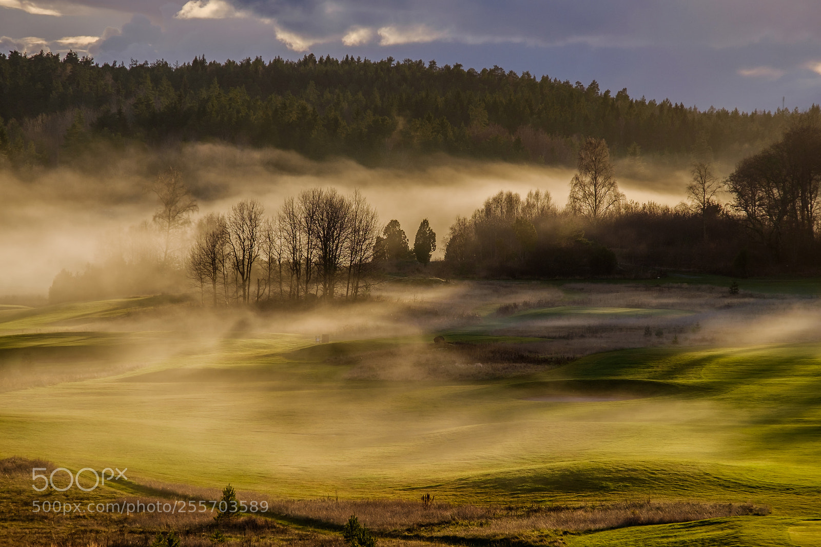 Fujifilm X-T1 sample photo. Fog photography