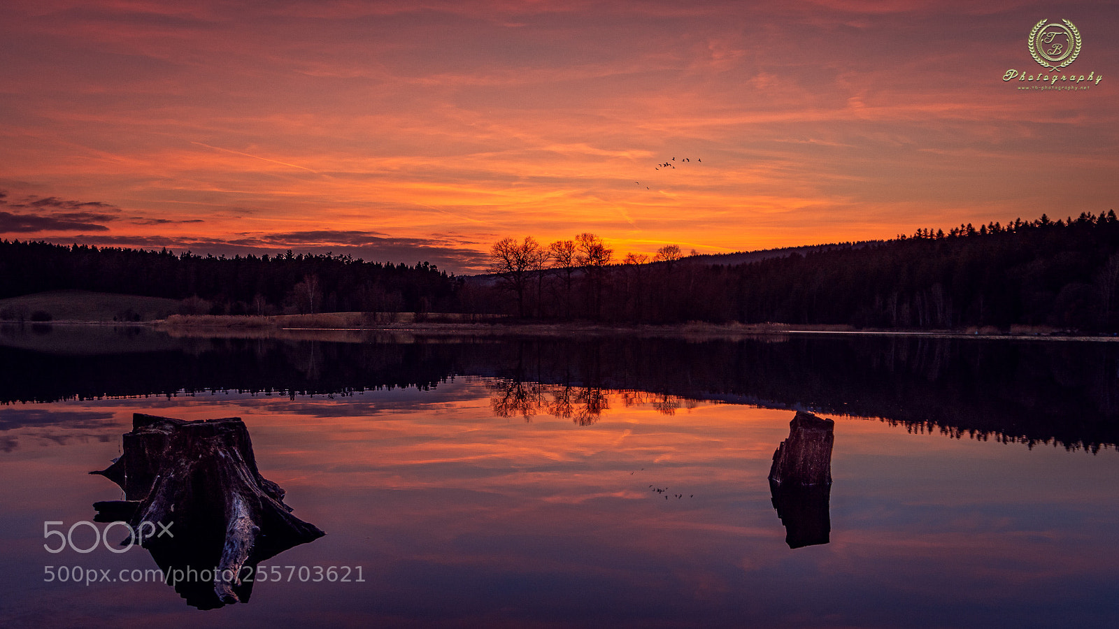 Nikon D7200 sample photo. Sonnenuntergang in heyda photography