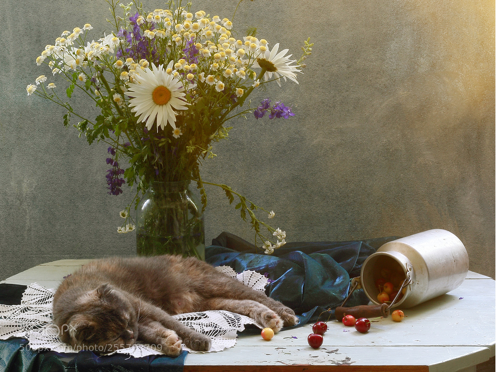 Canon EOS 60D sample photo. Cat mom resting photography