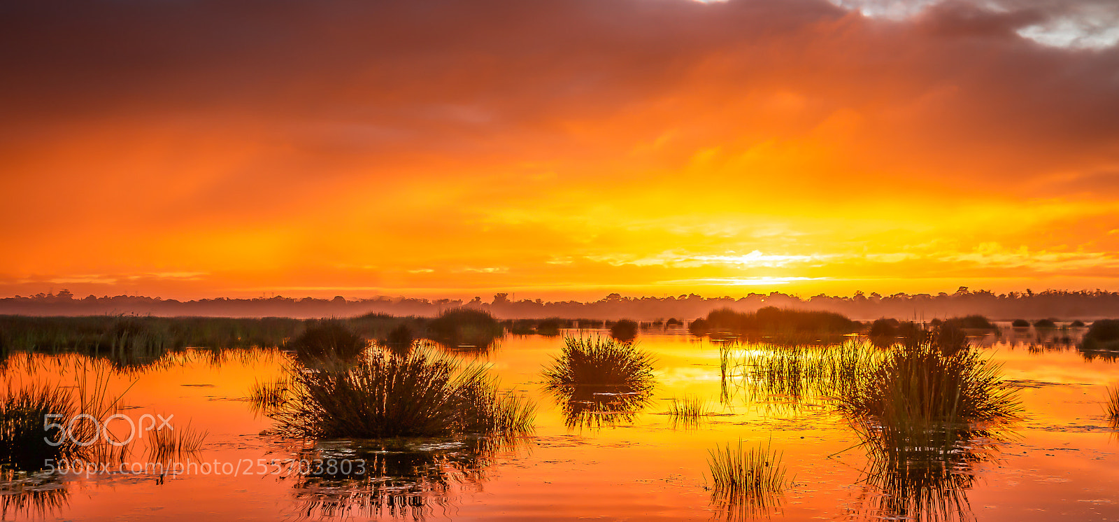 Canon EOS 70D sample photo. Morning fire photography
