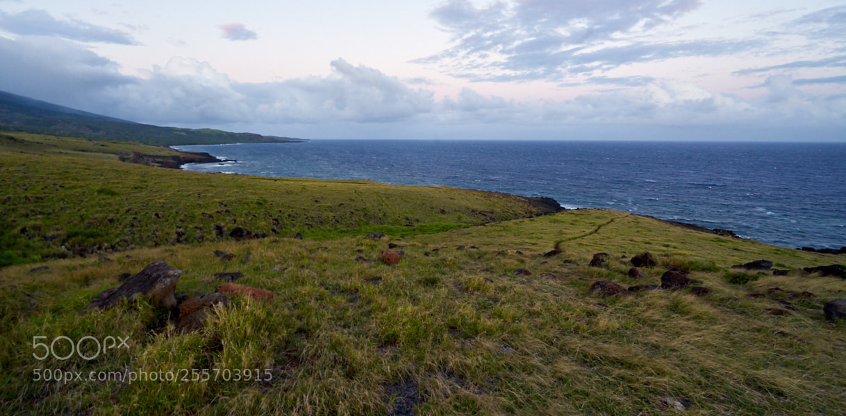 Sony a7 sample photo. Maui photography