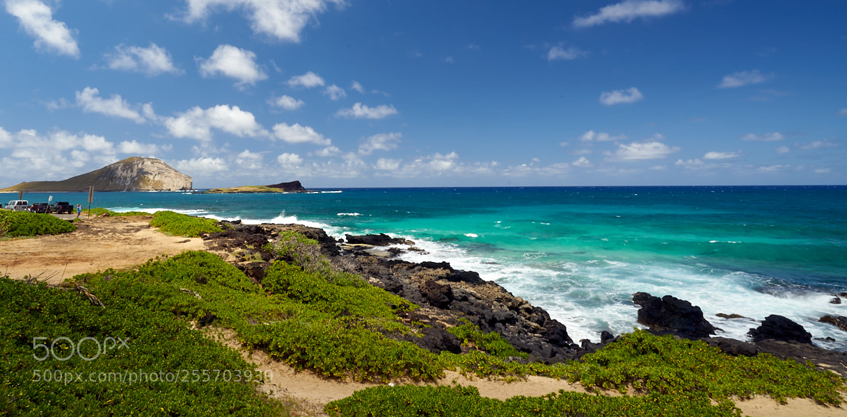 Sony a7 sample photo. Oahu photography