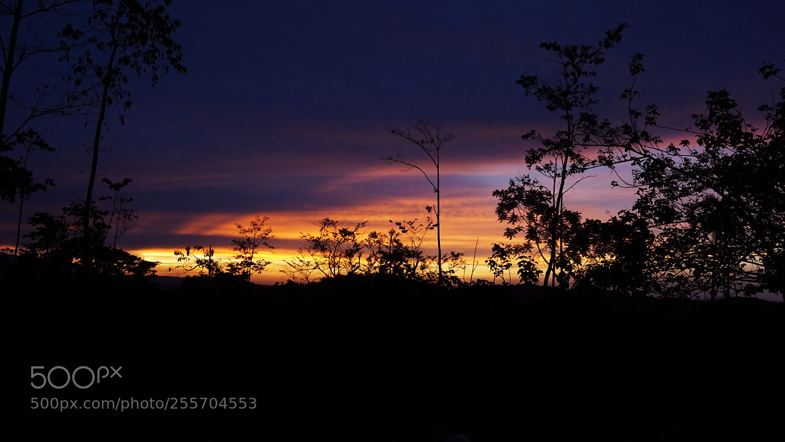 Sony a6000 sample photo. Felicidad en la simplicidad photography