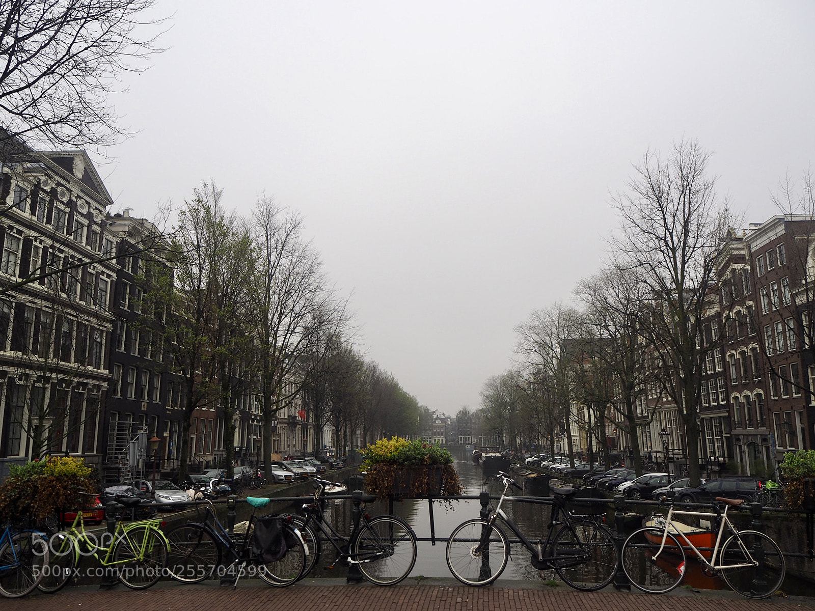 Olympus OM-D E-M10 II sample photo. Amsterdam, 2018 photography