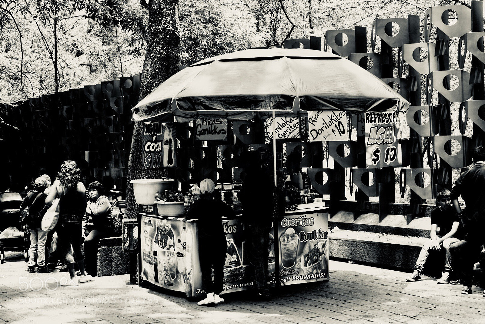 Sony a7 II sample photo. Snack stop photography