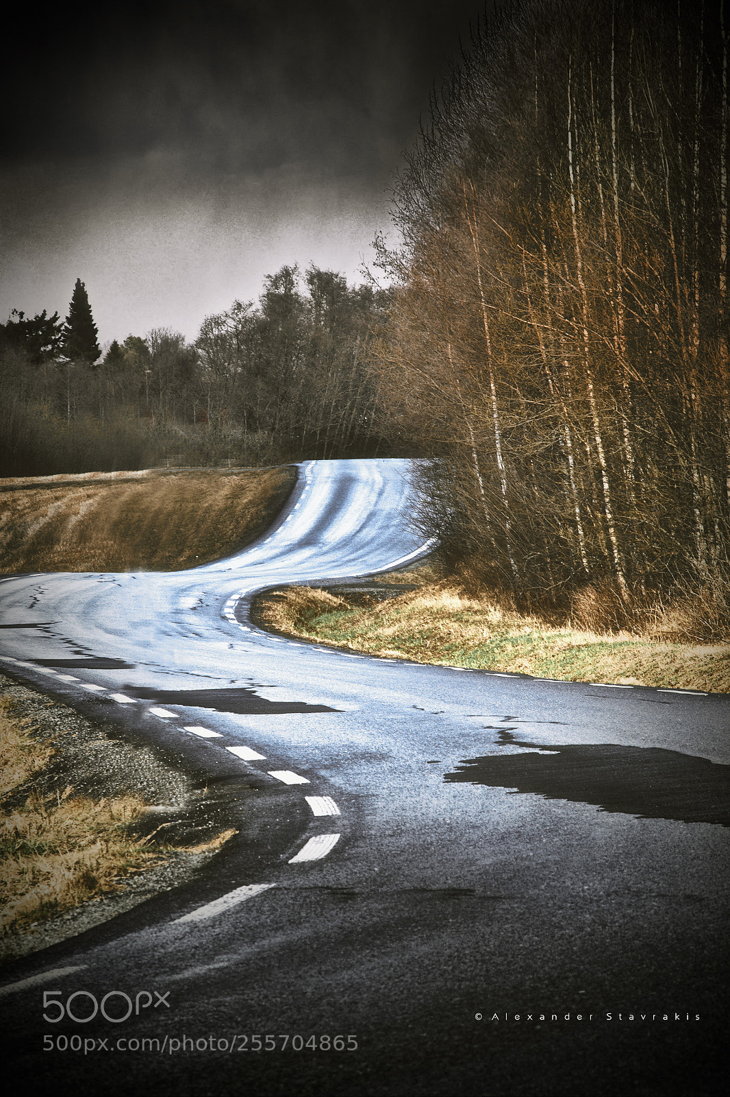 Nikon D3100 sample photo. The road.. photography