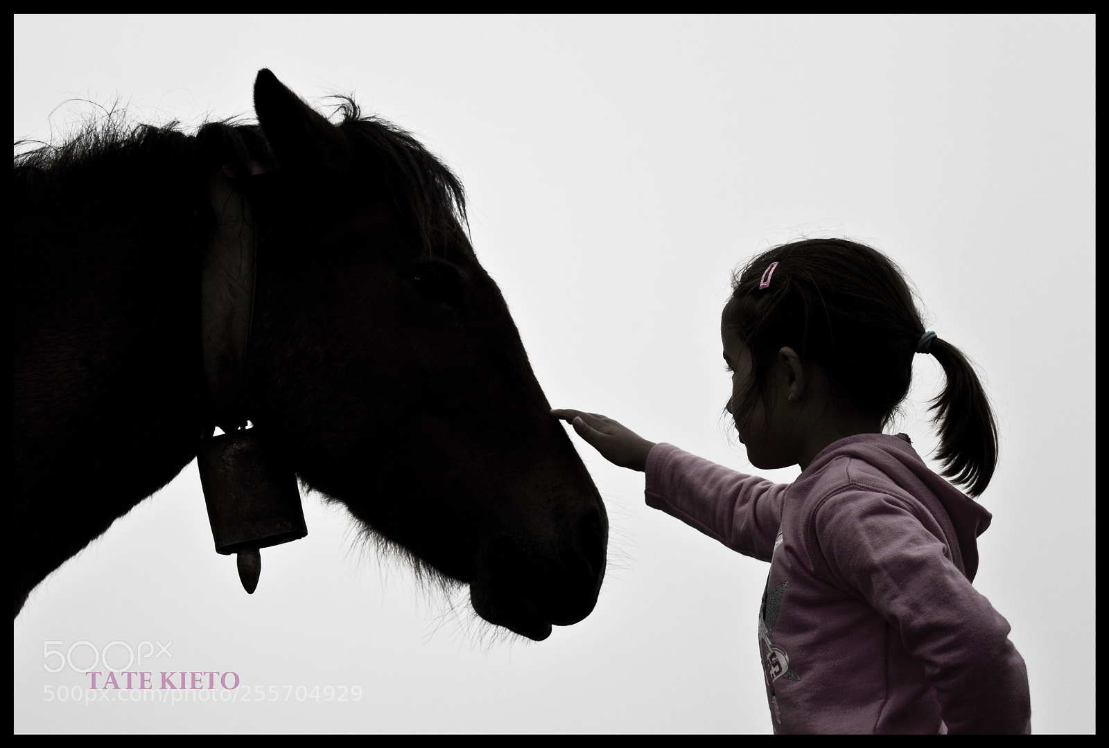 Canon EOS 500D (EOS Rebel T1i / EOS Kiss X3) sample photo. Amigos - friends photography
