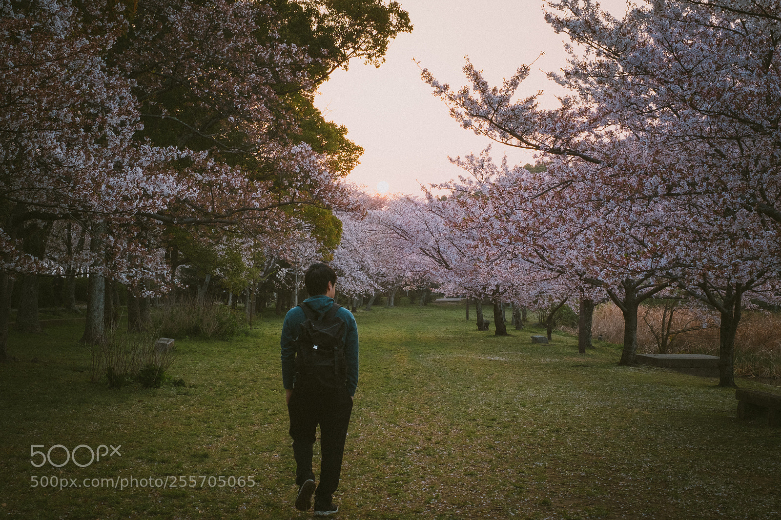 Fujifilm X-T2 sample photo. Walking photography