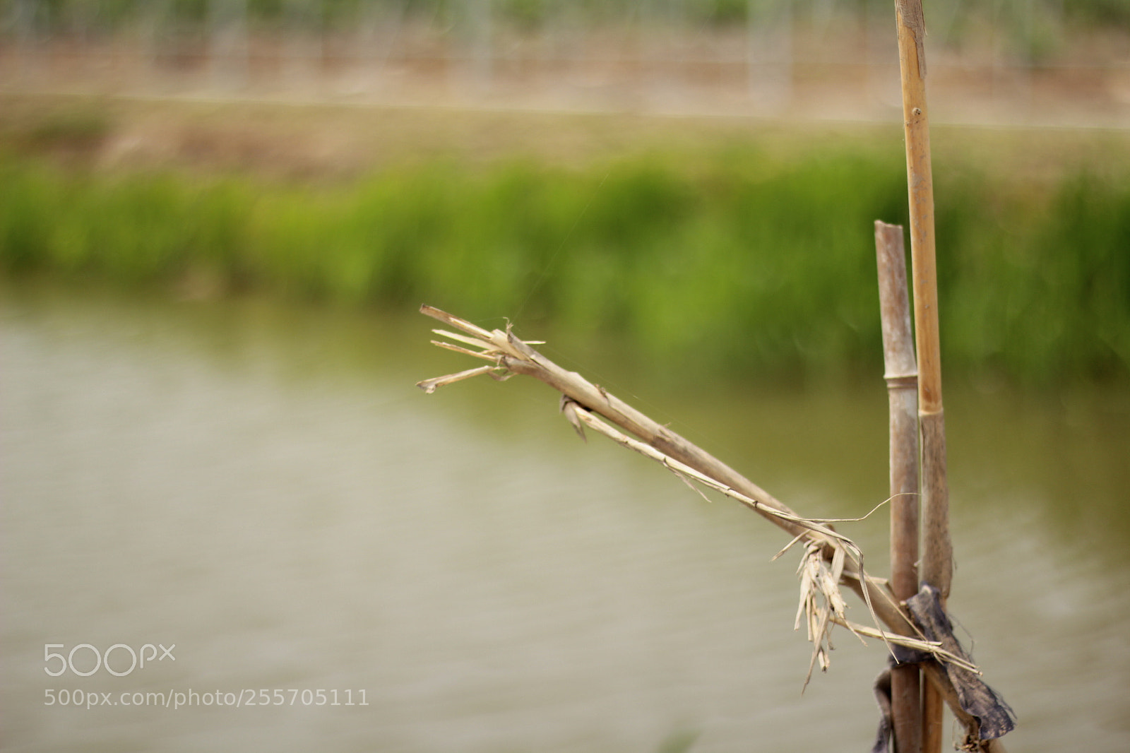 Canon EOS 550D (EOS Rebel T2i / EOS Kiss X4) sample photo. Hometown & river photography