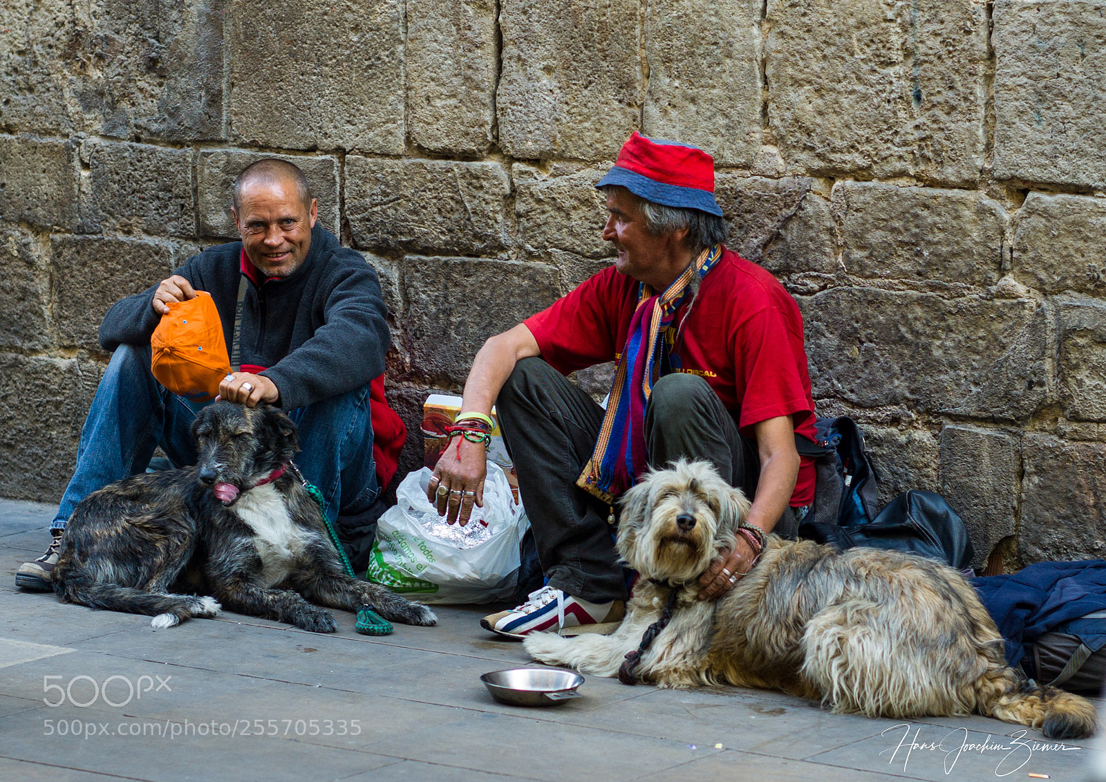 Leica M9 sample photo. Penny for my dog photography