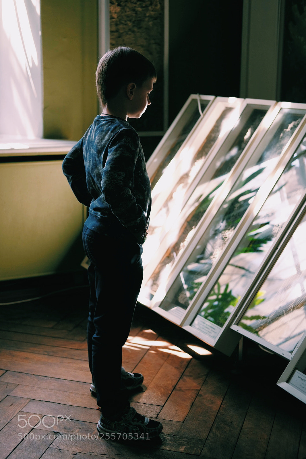 Fujifilm X-T1 sample photo. Museum photography
