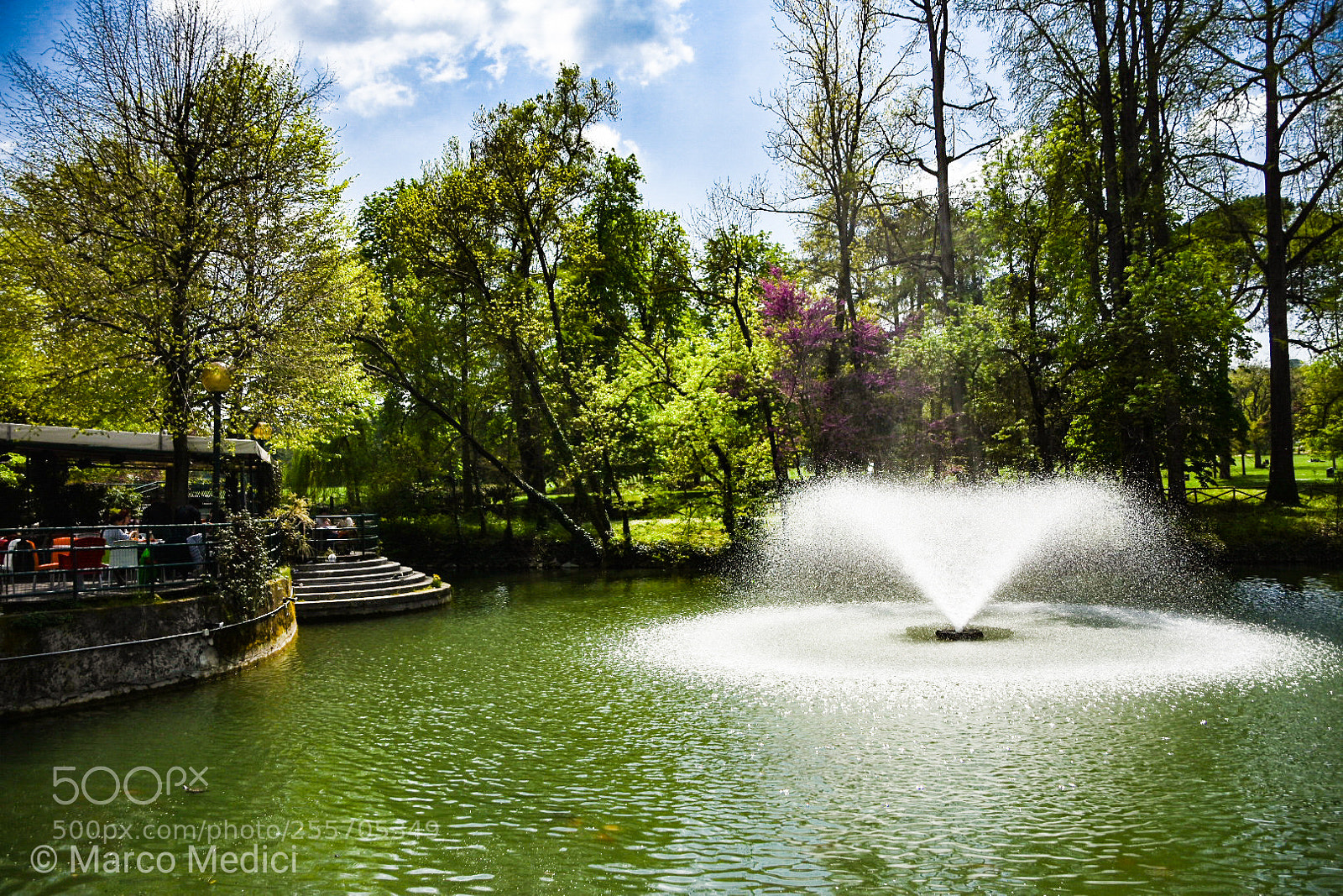 Nikon D7200 sample photo. Spring photography