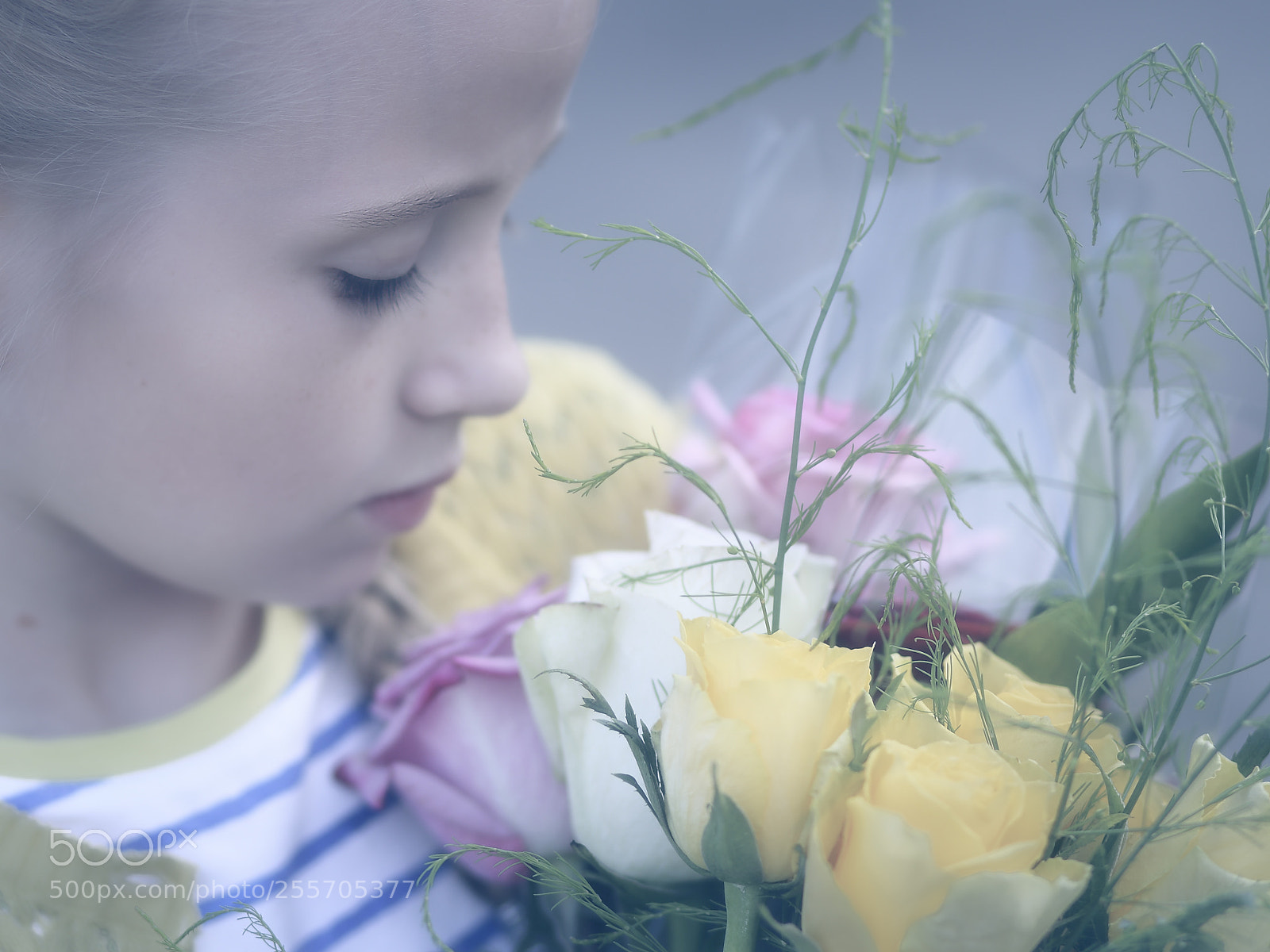 Canon EOS 6D sample photo. Just a moment ... photography