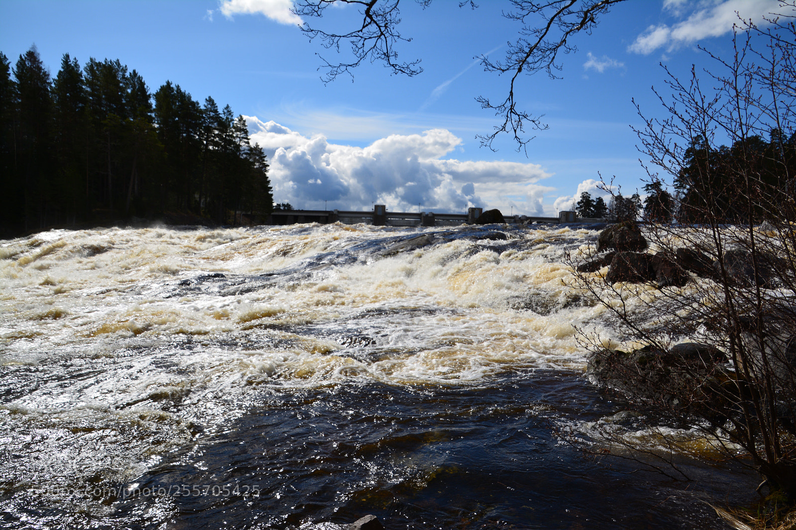 Nikon D5200 sample photo. Floodgates opened photography