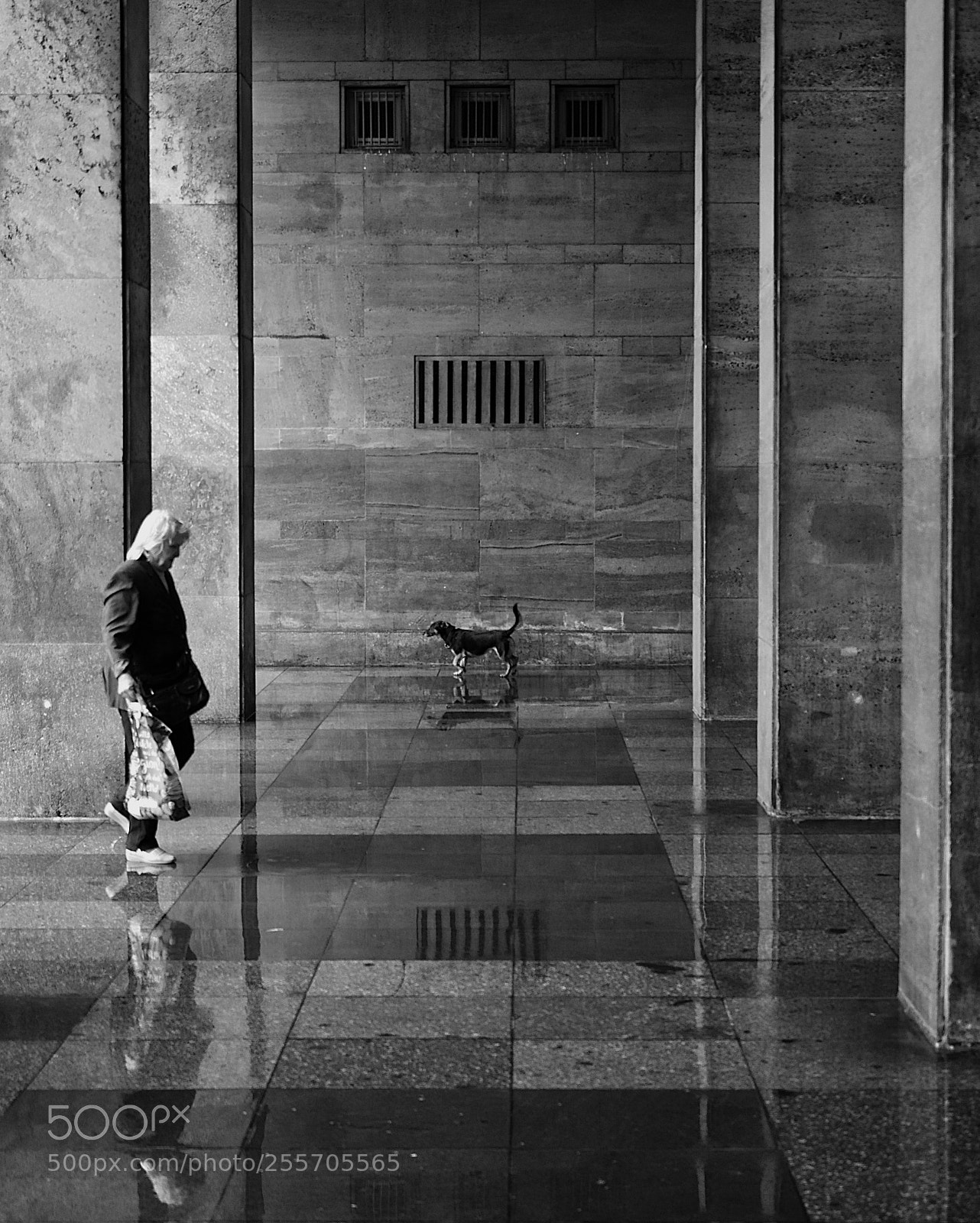 Olympus OM-D E-M5 II sample photo. Two lives photography