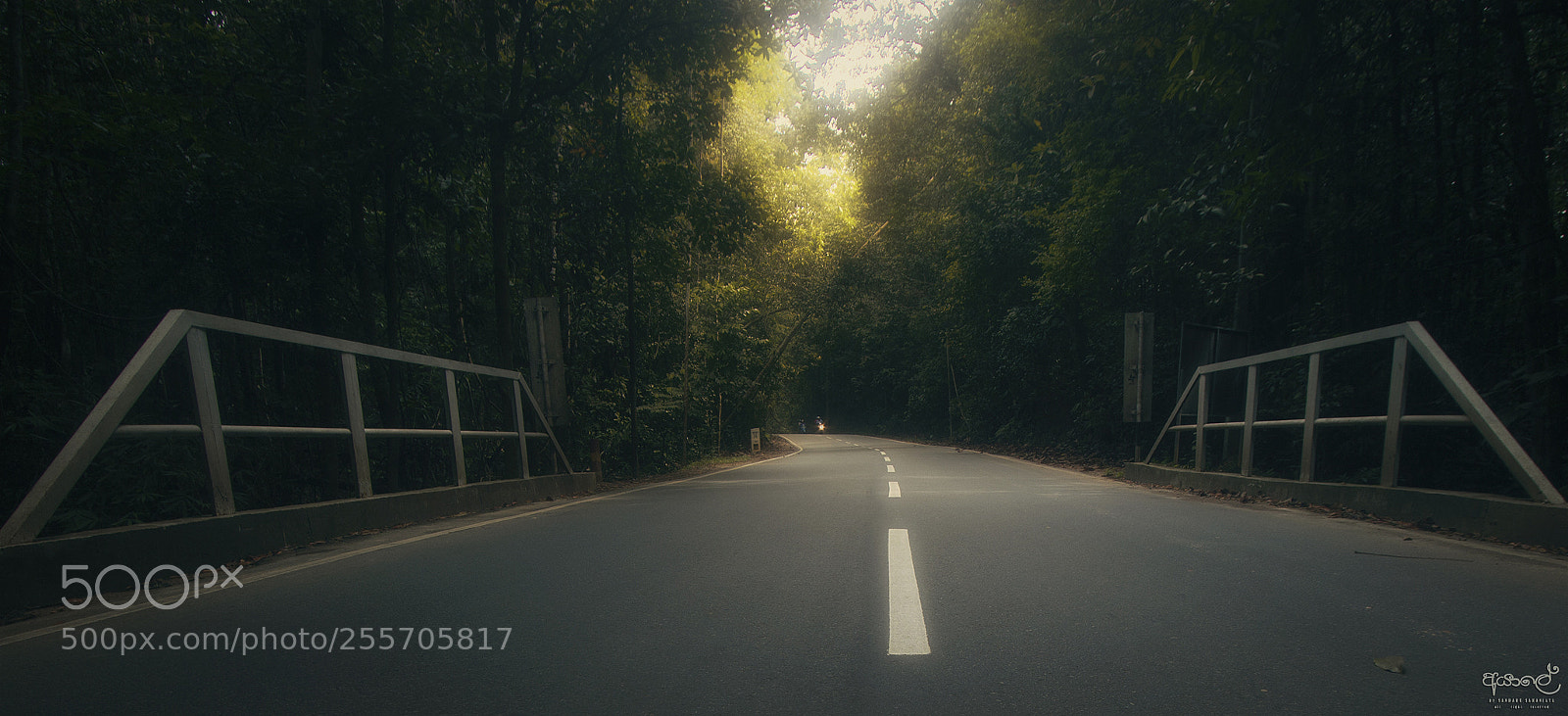 Canon EOS 700D (EOS Rebel T5i / EOS Kiss X7i) sample photo. Lone road photography