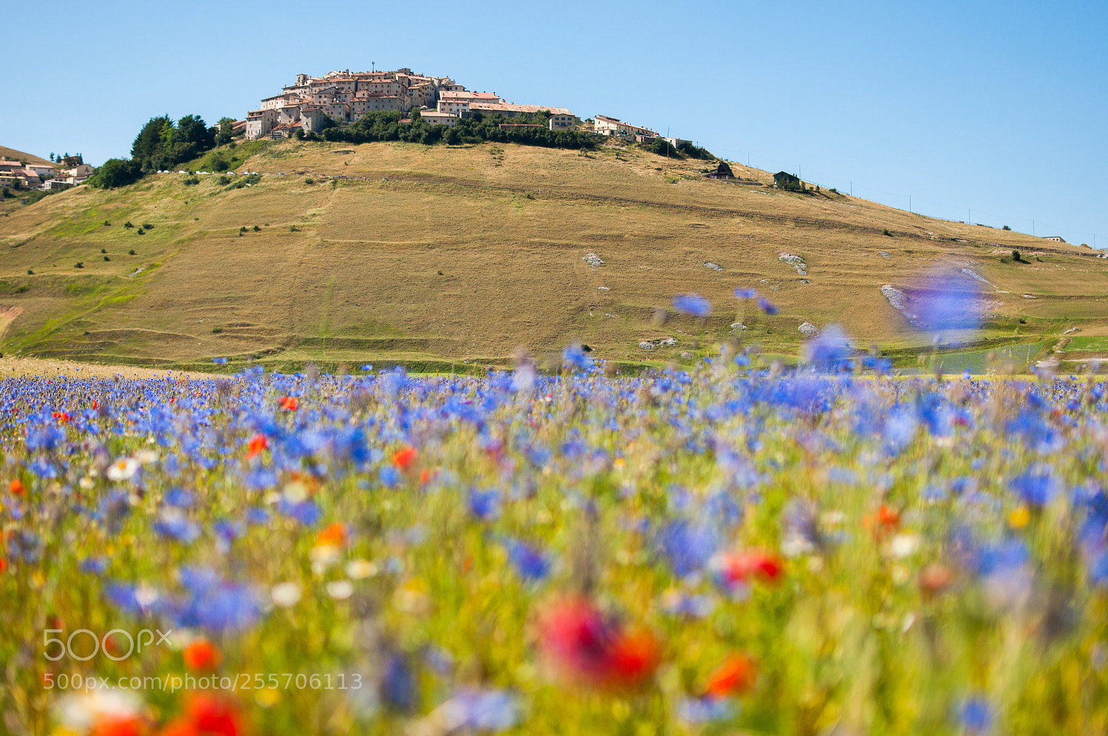 Nikon D90 sample photo. Castelluccio di norcia (pg), 2015 photography