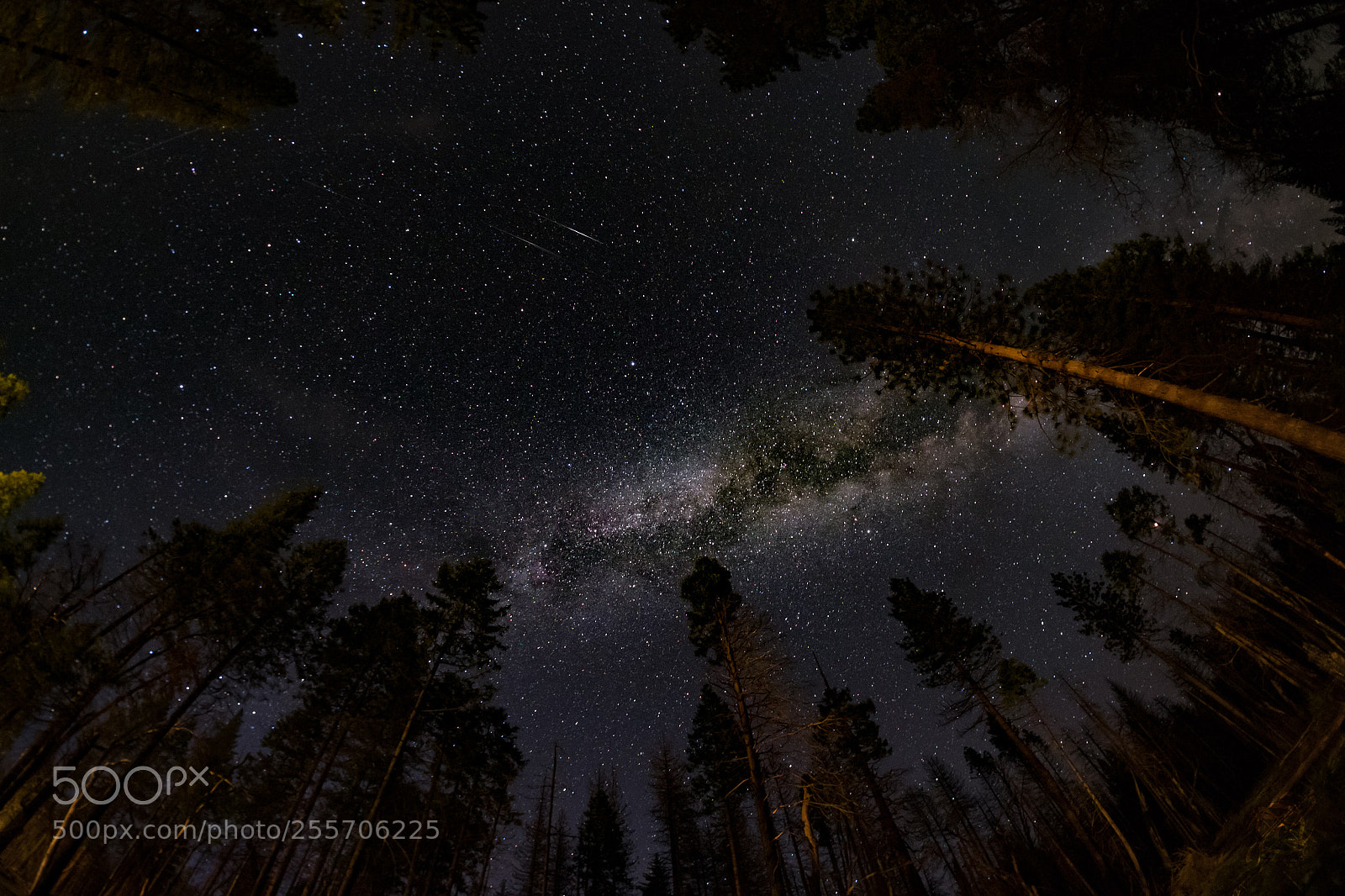 Fujifilm X-T1 sample photo. Yosemite sky photography