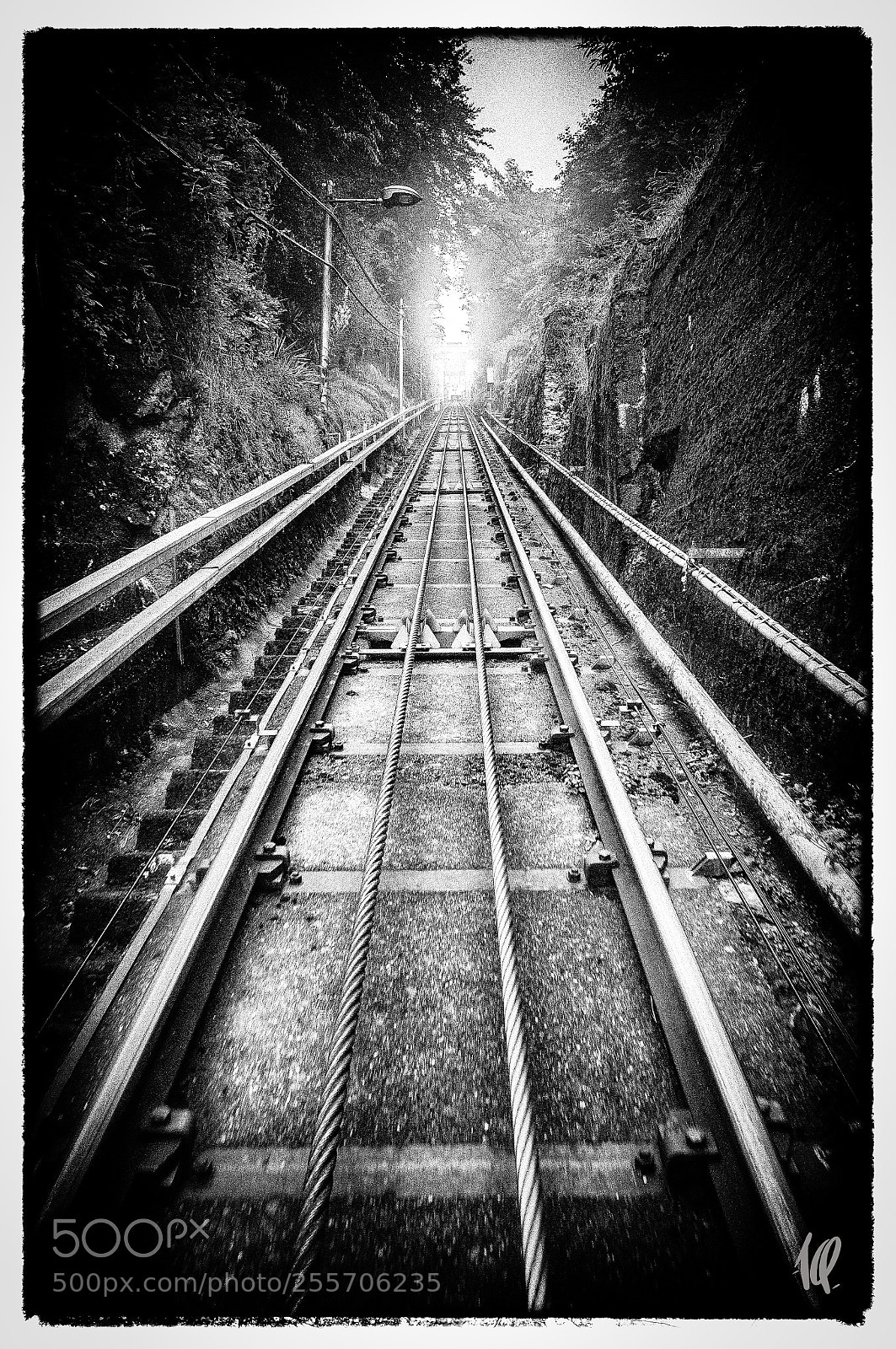 Nikon D5 sample photo. Railroad to nowhere photography