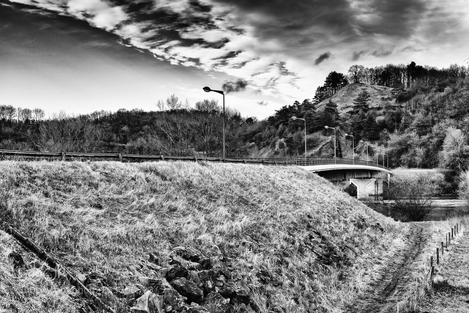 Nikon D800E sample photo. Pont de ham sur photography
