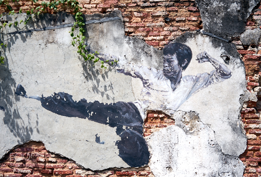 Sony a7 sample photo. Penang photography