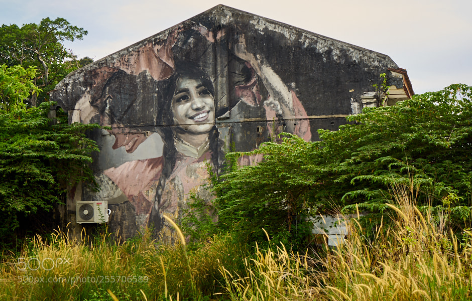 Sony a7 sample photo. Penang photography