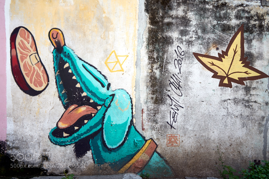 Sony a7 sample photo. Penang photography