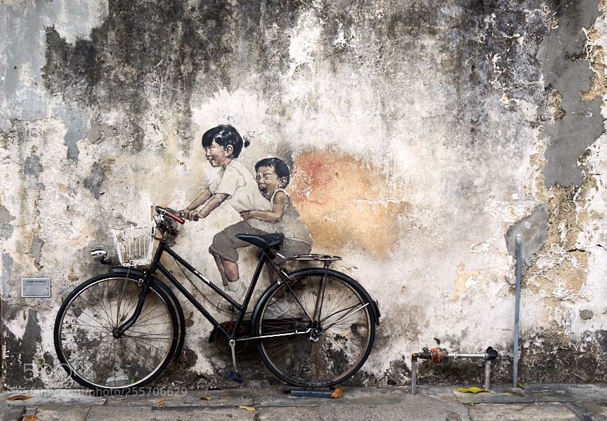 Sony a7 sample photo. Penang photography