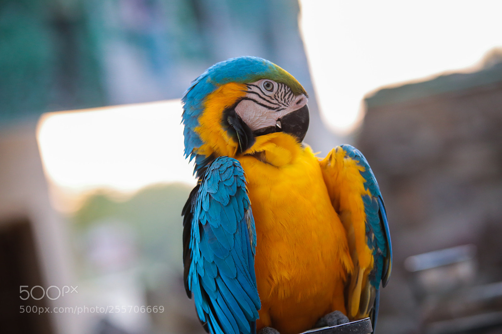 Canon EOS 6D sample photo. Untitled photography