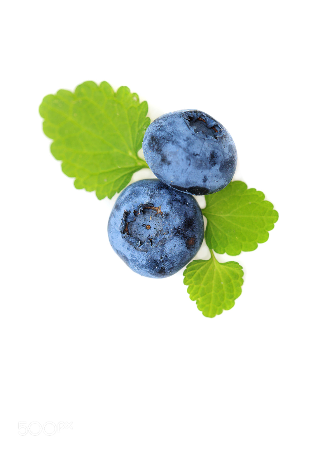 Canon EOS 5D Mark II sample photo. Blueberry berries isolated on photography
