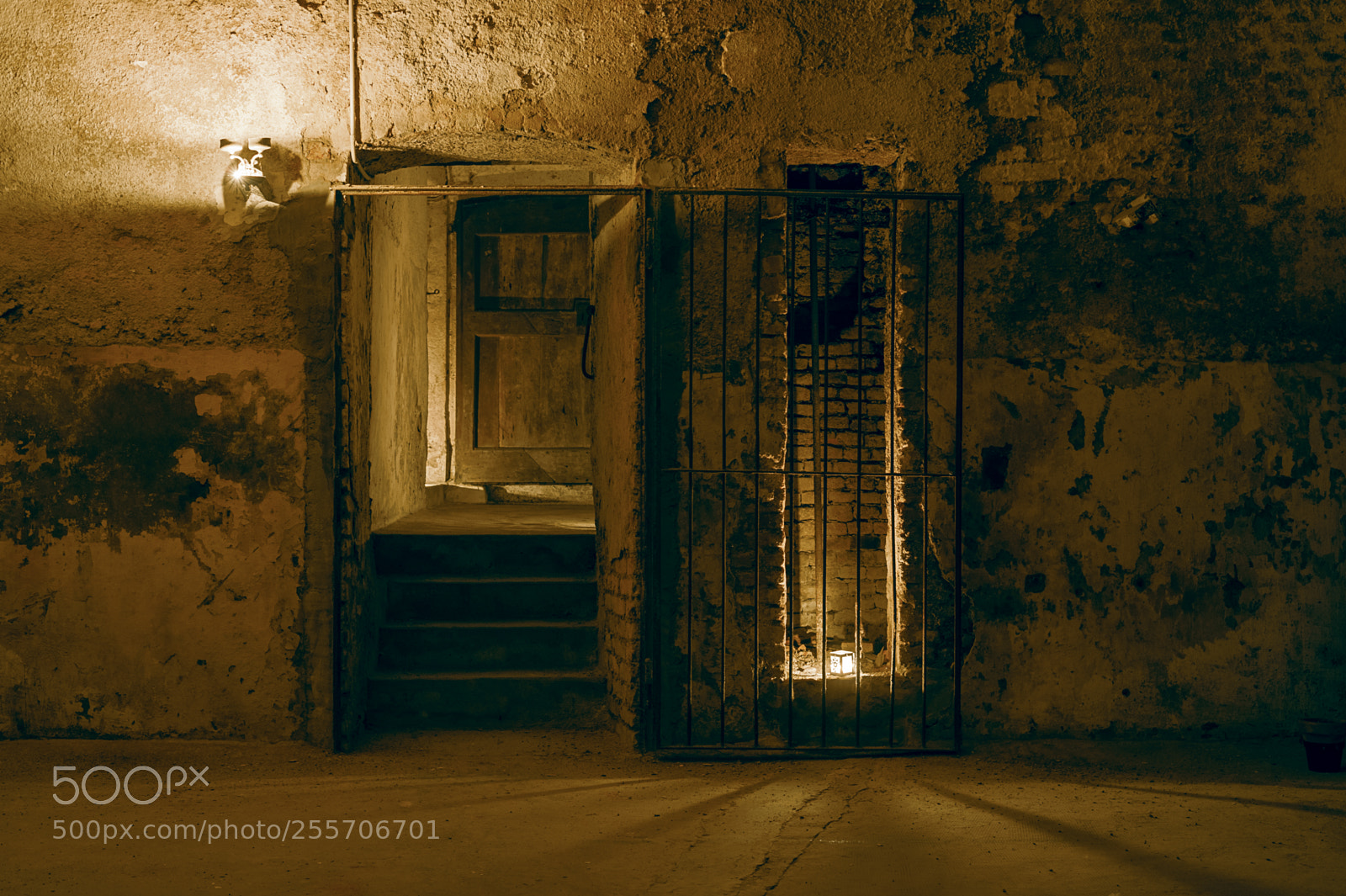 Nikon Df sample photo. Basement photography