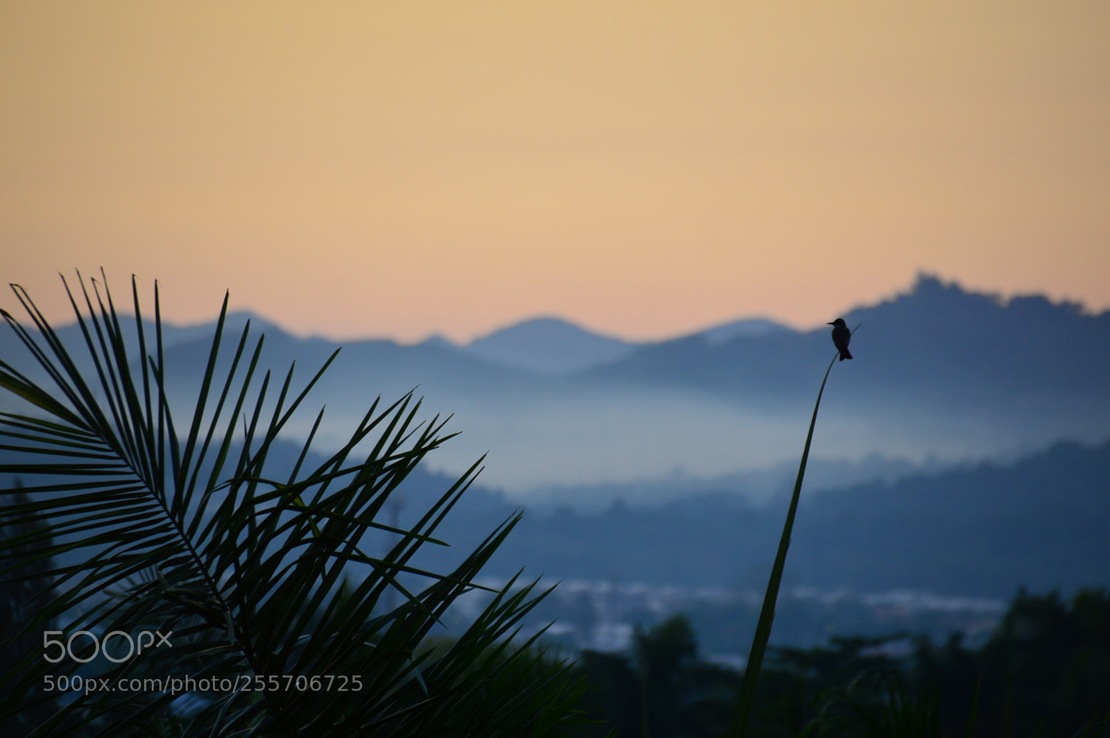 Nikon D3200 sample photo. Untitled photography