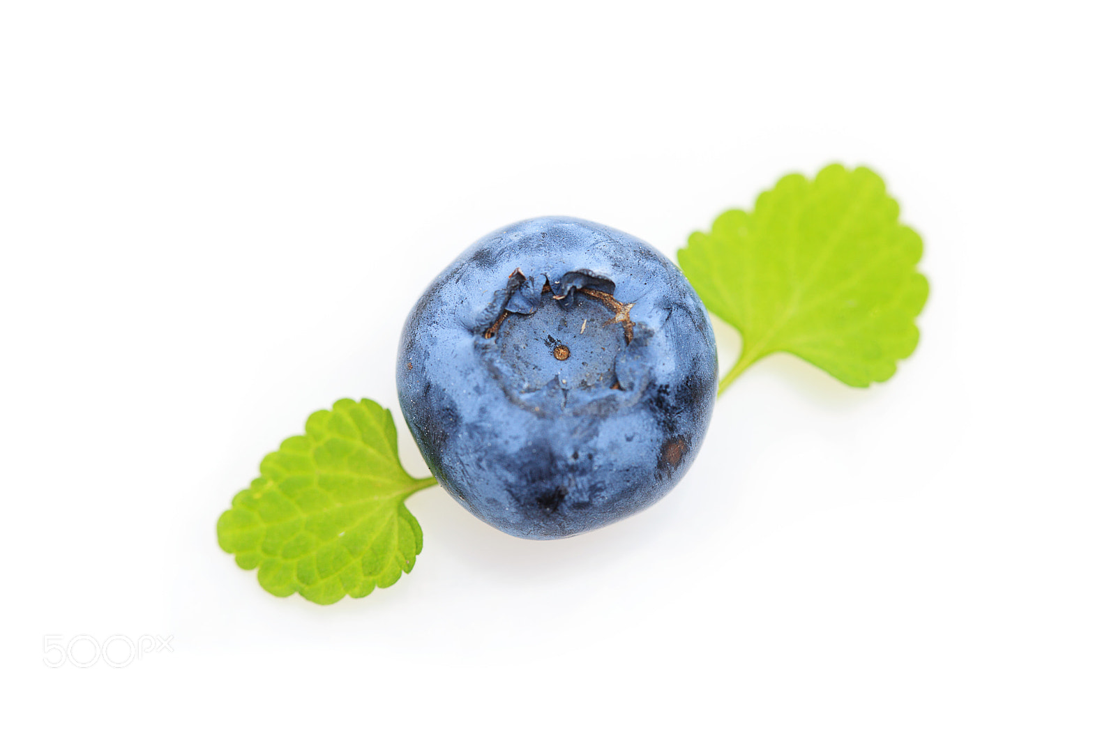 Canon EOS 5D Mark II sample photo. Blueberry berries isolated on photography