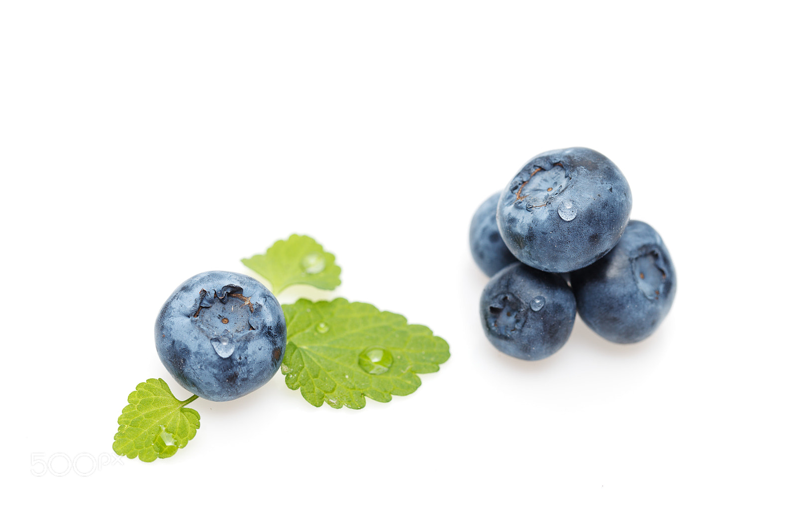 Canon EOS 5D Mark II sample photo. Blueberry berries isolated on photography