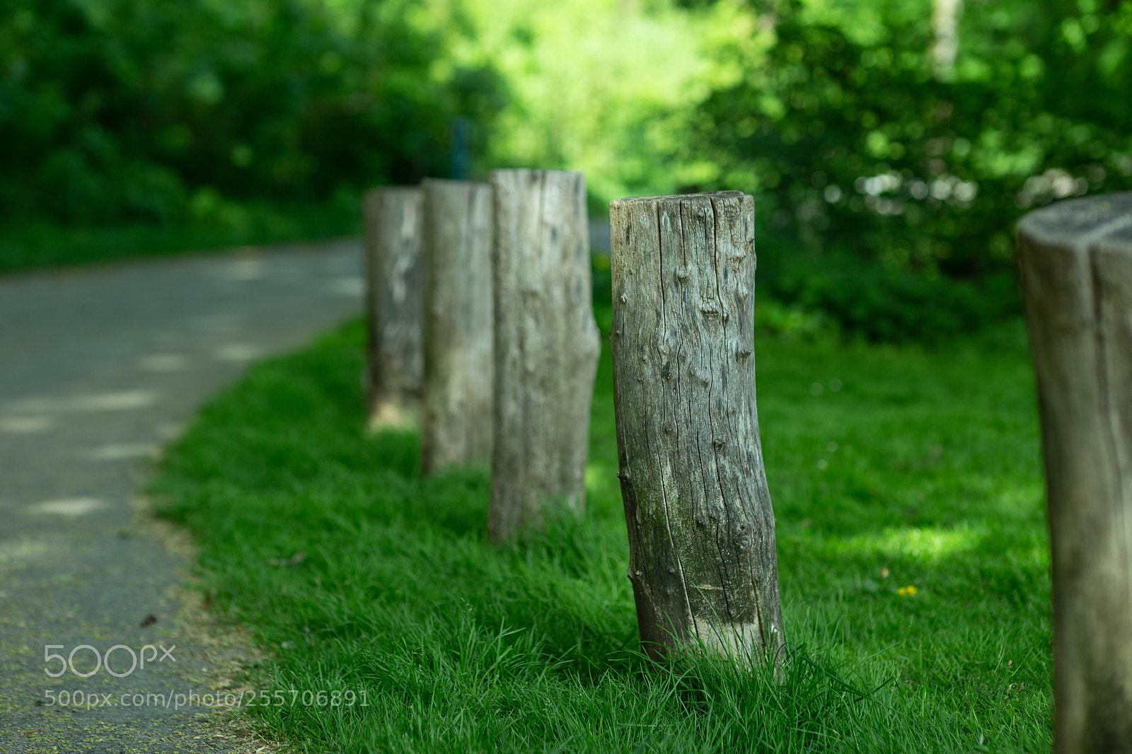 Canon EOS 6D sample photo. Path and poles photography