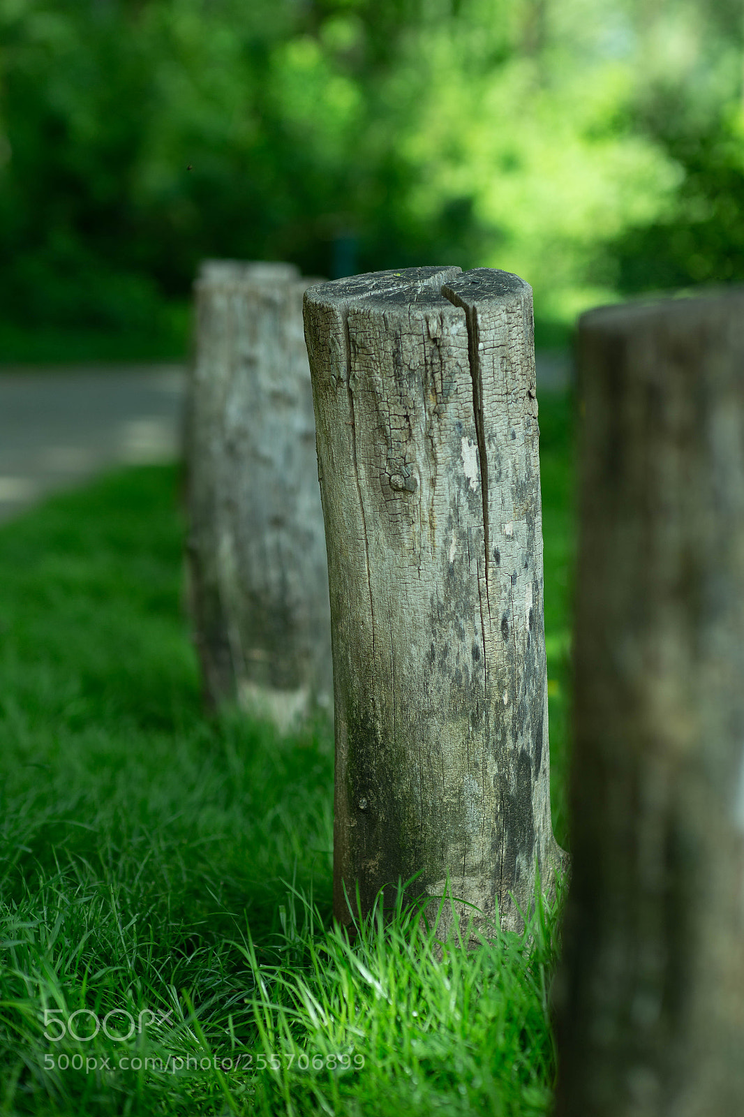 Canon EOS 6D sample photo. Poles photography