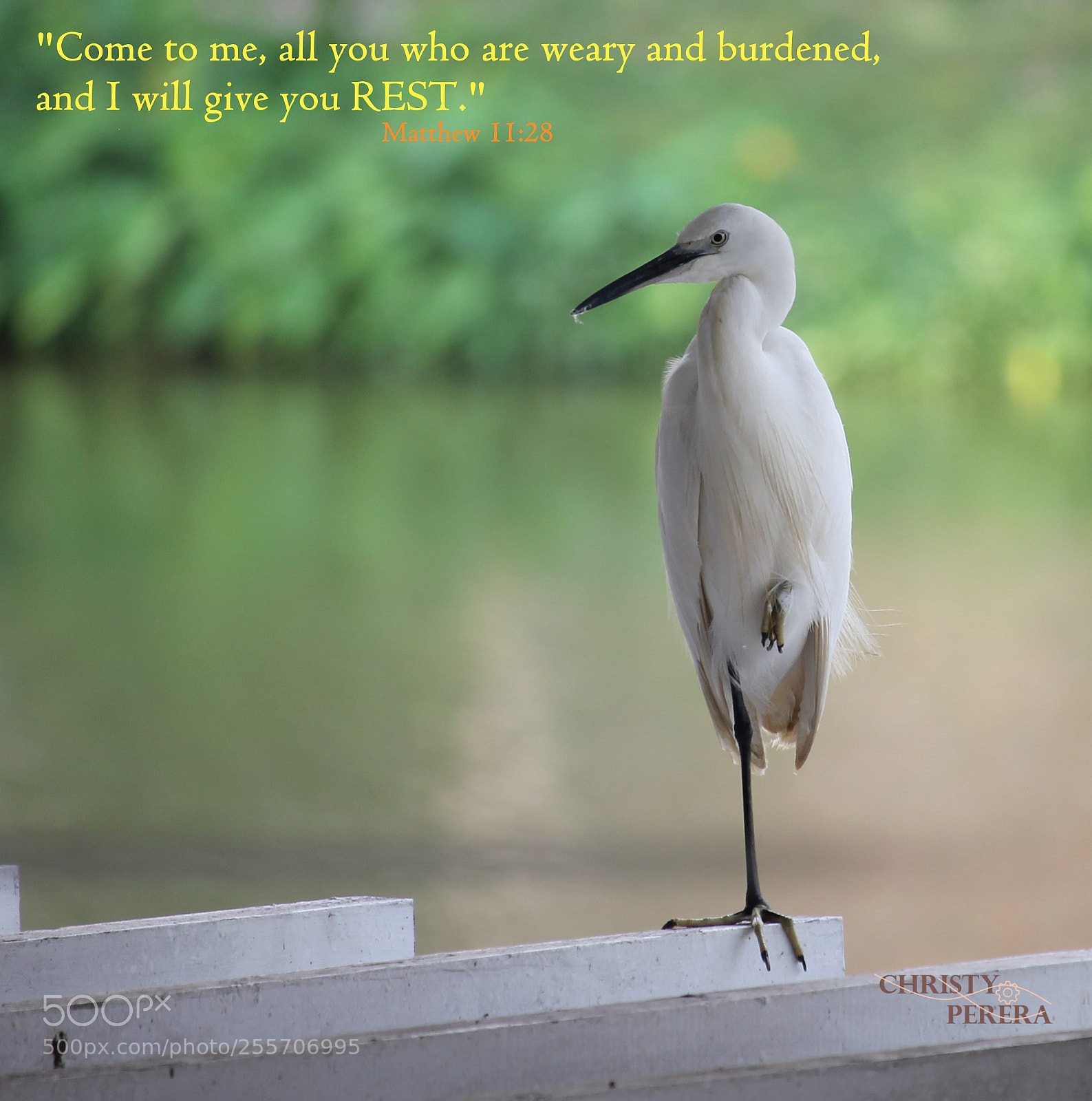Canon EOS 60D sample photo. Aa photography