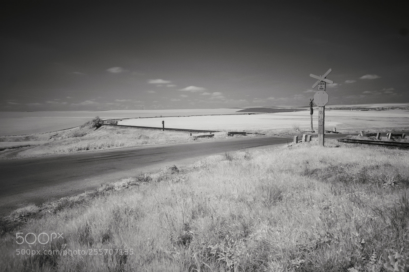 Sony Alpha DSLR-A350 sample photo. Spring fields railcrossing photography